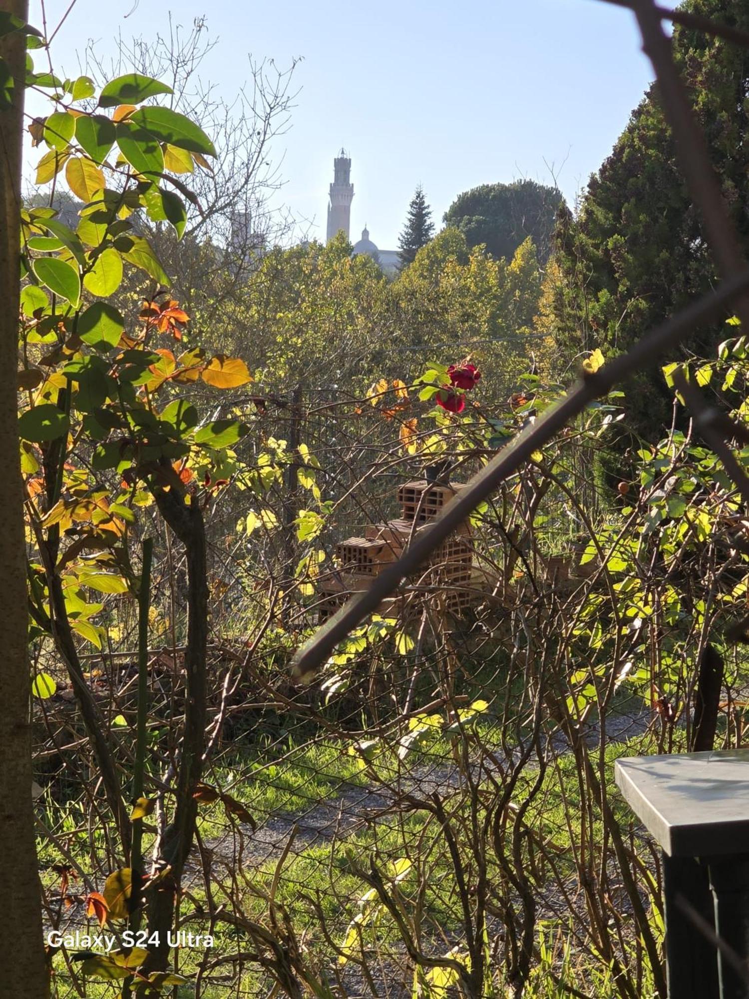 Podere Ponticini Siena Esterno foto