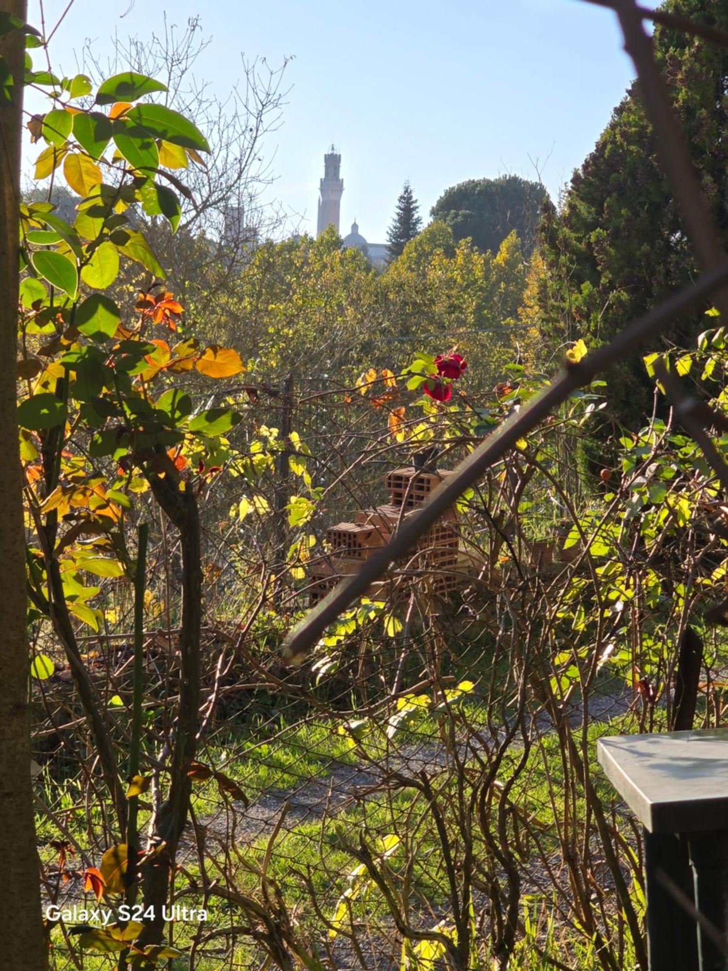 Podere Ponticini Siena Esterno foto